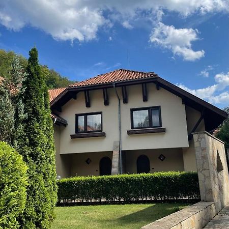 Вила 11 - семейна почивка в сърцето на Балкана Рибарица Экстерьер фото