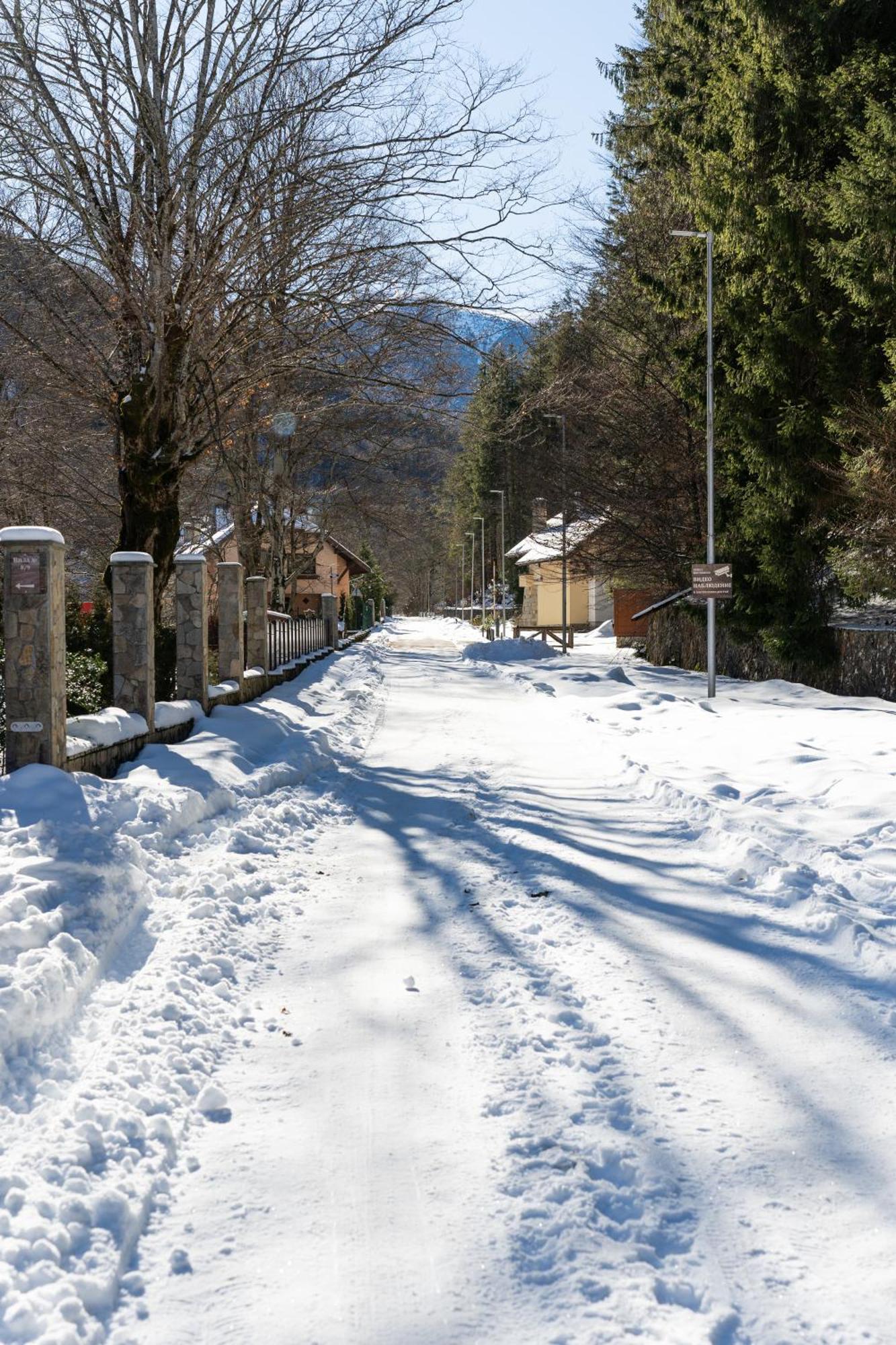 Вила 11 - семейна почивка в сърцето на Балкана Рибарица Экстерьер фото